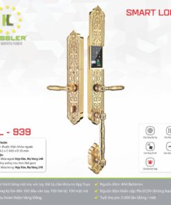 Khóa đại sảnh Kassler KL939