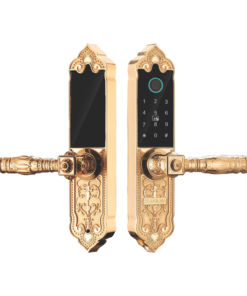 KL919-avt