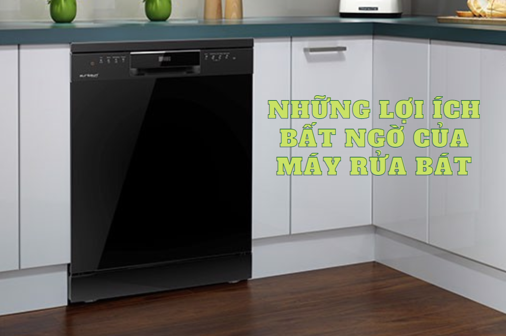 nhung-loi-ich-bat-ngo-cua-may-rua-bat