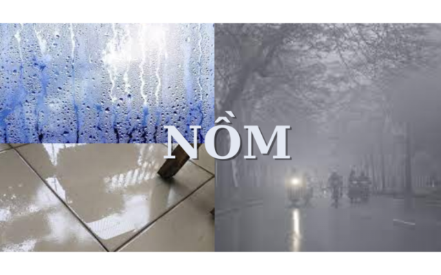 NỒM-1200x750